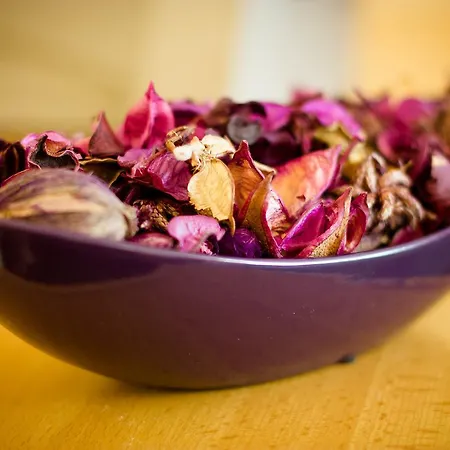 Horsky Magura Hotel Nitrianske Pravno