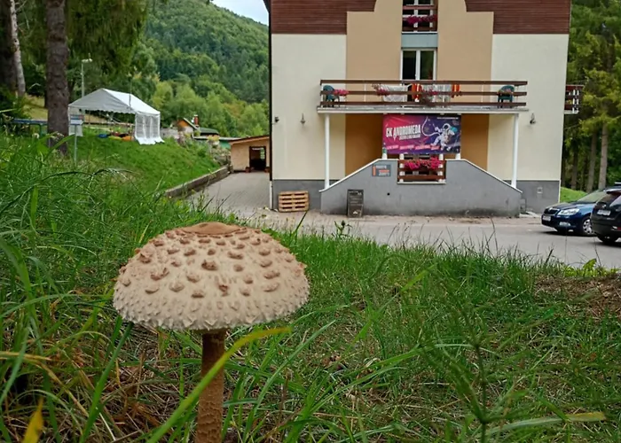Hotel Horsky Magura 3*